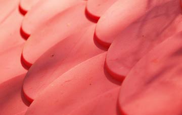 Beaudesert plastic roof costs