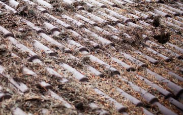 Beaudesert roof cleaning companies